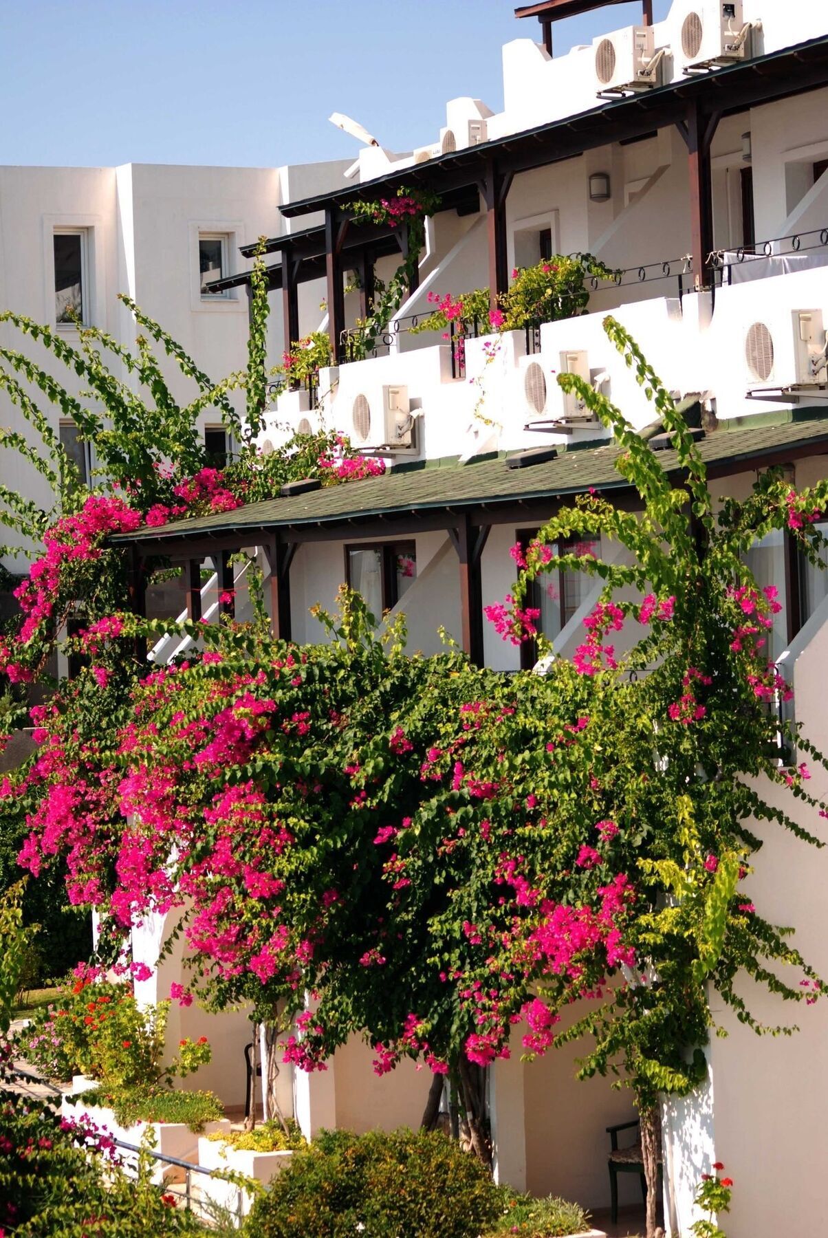 Forever Club (Adults Only) Bodrum Exterior photo