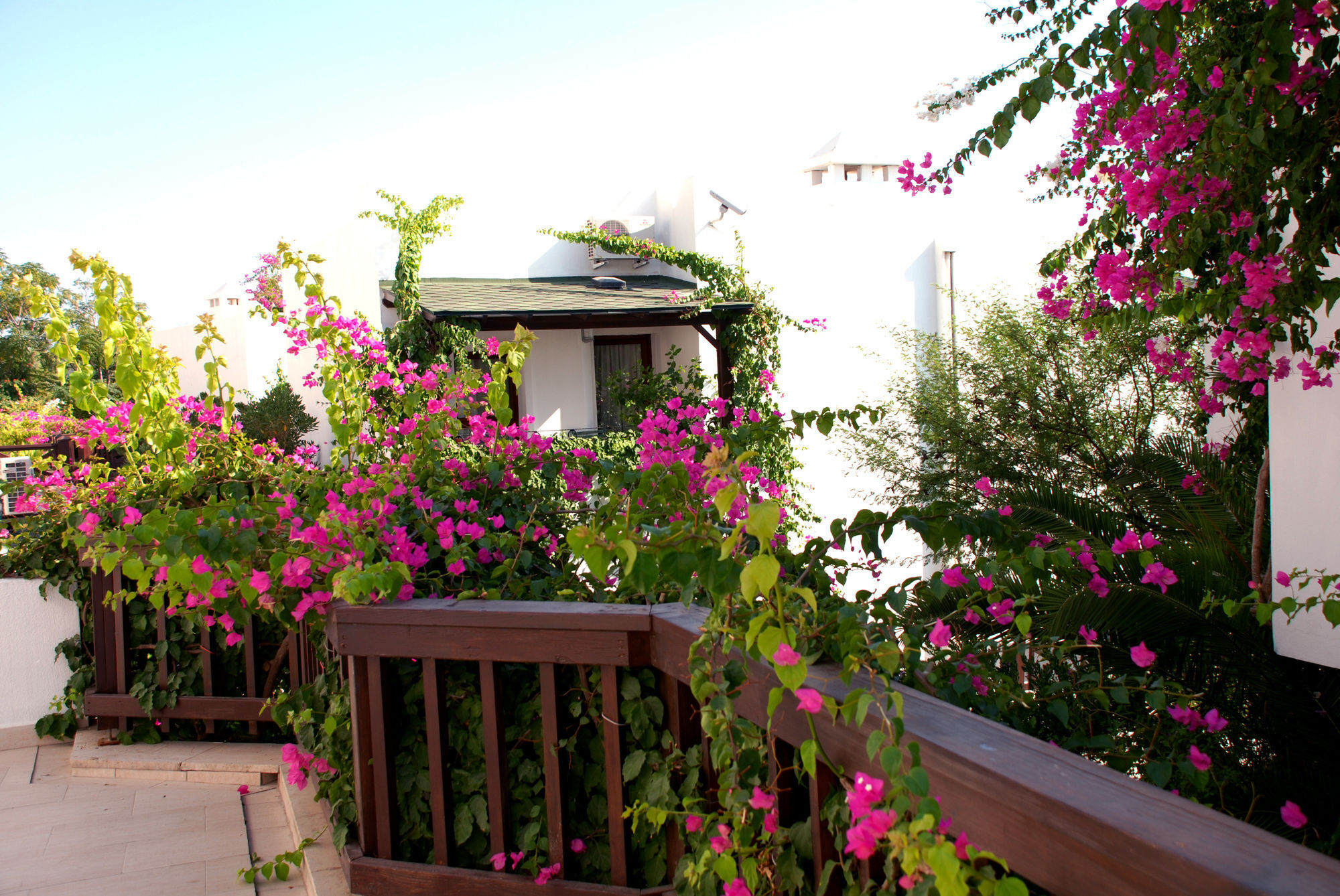 Forever Club (Adults Only) Bodrum Exterior photo